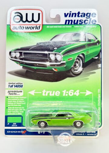 AW- VINTAGE MUSCLE 1970 DODGE CHALLENGER T/A